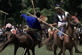 Budaya NTT